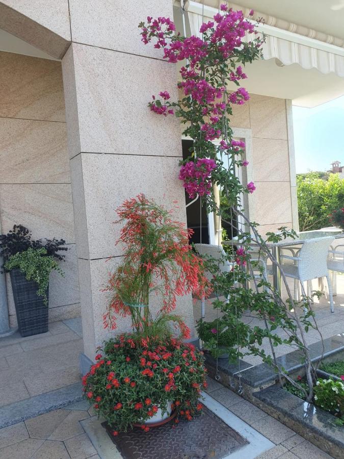 Villa Maric 바스카보다 외부 사진