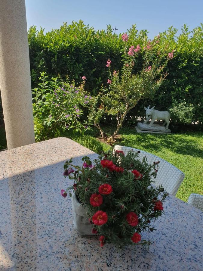 Villa Maric 바스카보다 외부 사진